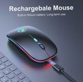 Wireless Ergonomic Mouse 2.4G Bluetooth RGB