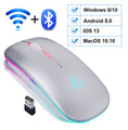 Wireless Ergonomic Mouse 2.4G Bluetooth RGB